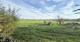 von_poll_real_estate_property_25048032_image_7