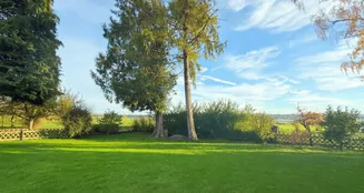 von_poll_real_estate_property_25048032_image_6