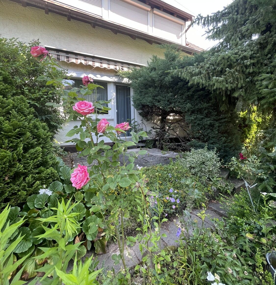 Rückseite