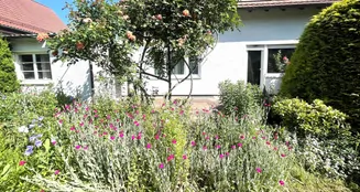 von_poll_real_estate_property_25048011n_image_3