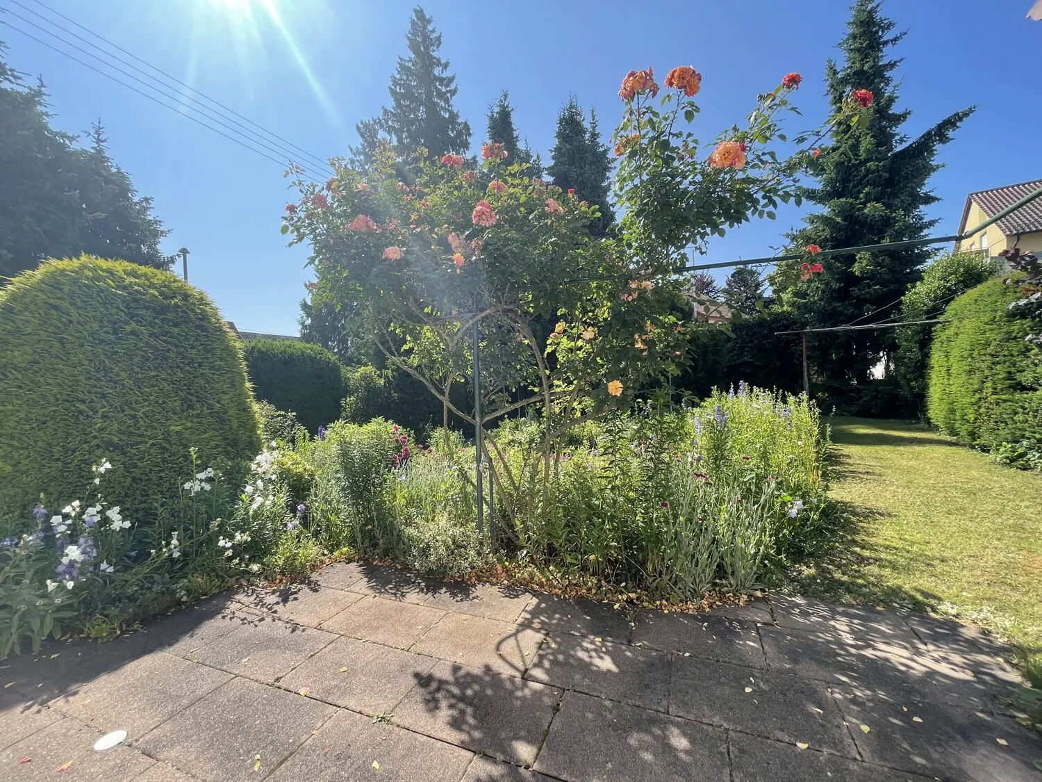 Blick in den Garten 1-1