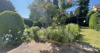 von_poll_real_estate_property_25048011n_image_6