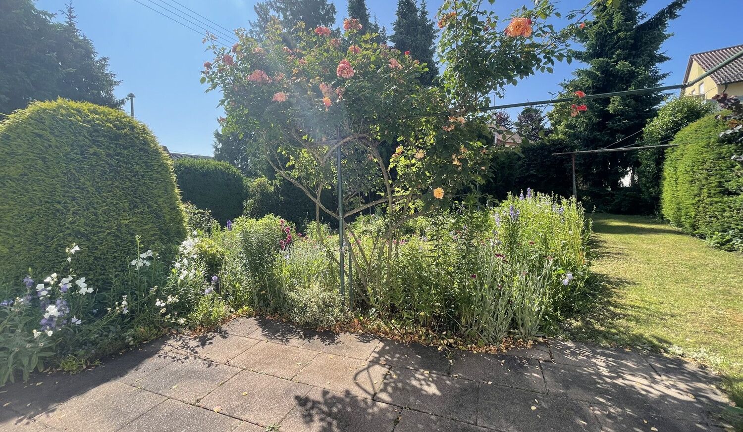 Blick in den Garten 1-1