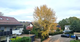 von_poll_real_estate_property_25048031_image_11