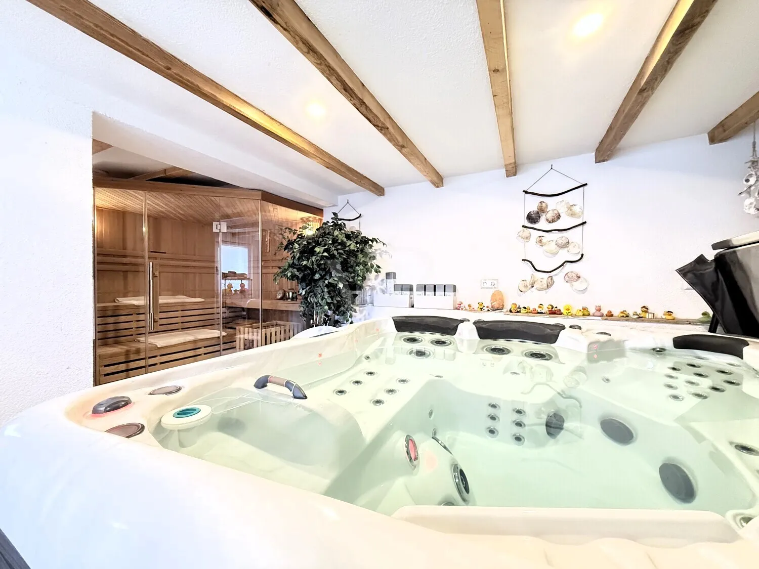 Whirlpool und Sauna
