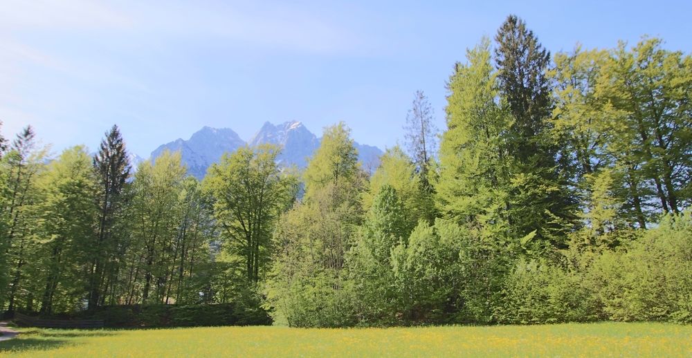 Impression Sommer