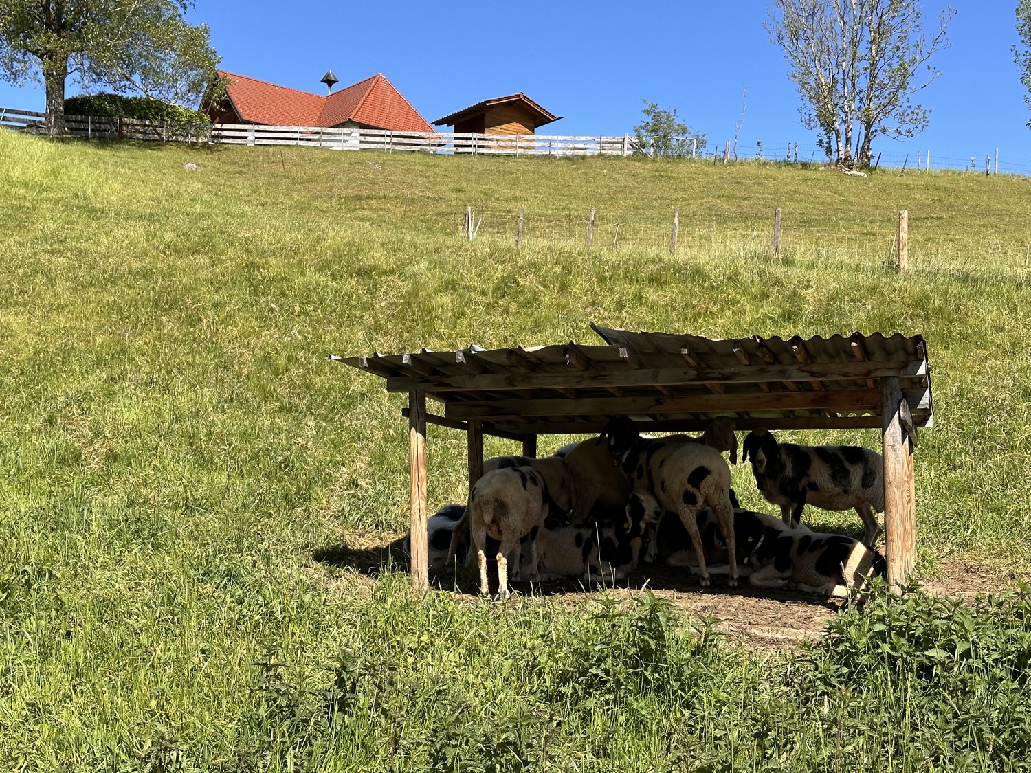 Nette Nachbarschaft