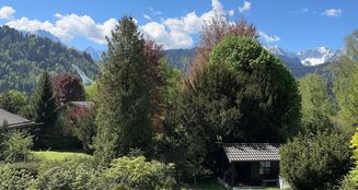 von_poll_real_estate_property_25083008_image_0
