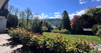 von_poll_real_estate_property_25083008_image_18