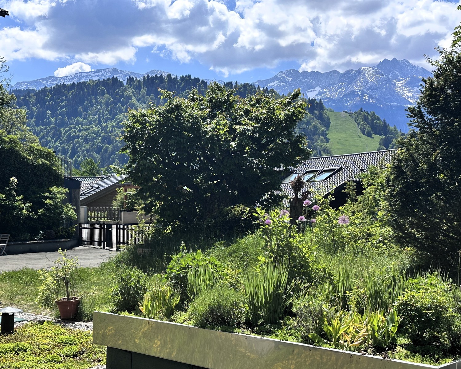 Komfortables Wohnen: ebenerdig, sonnig, aussichtsreich und zentral