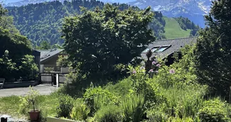 von_poll_real_estate_property_24083013_image_12