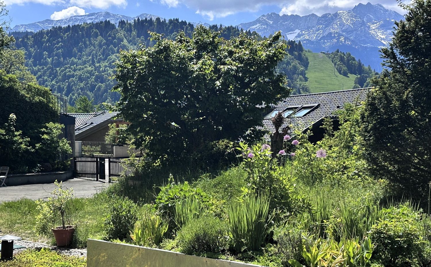 Komfortables Wohnen: ebenerdig, sonnig, aussichtsreich und zentral