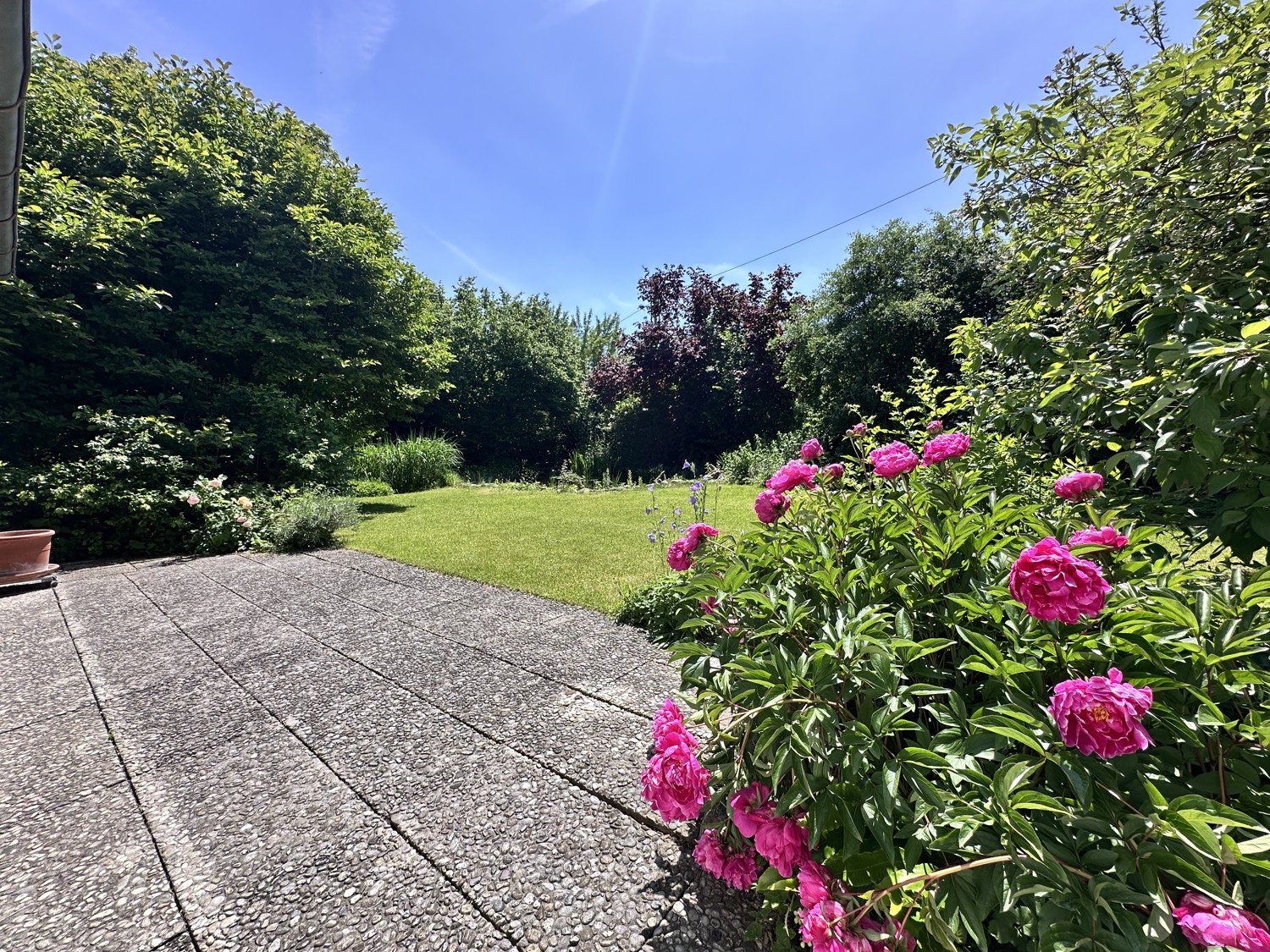 Terrasse, Garten EG