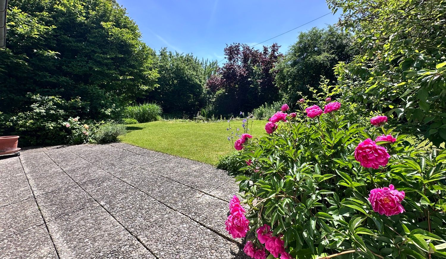 Terrasse, Garten EG