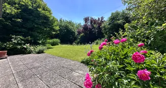 von_poll_real_estate_property_25083009_image_18