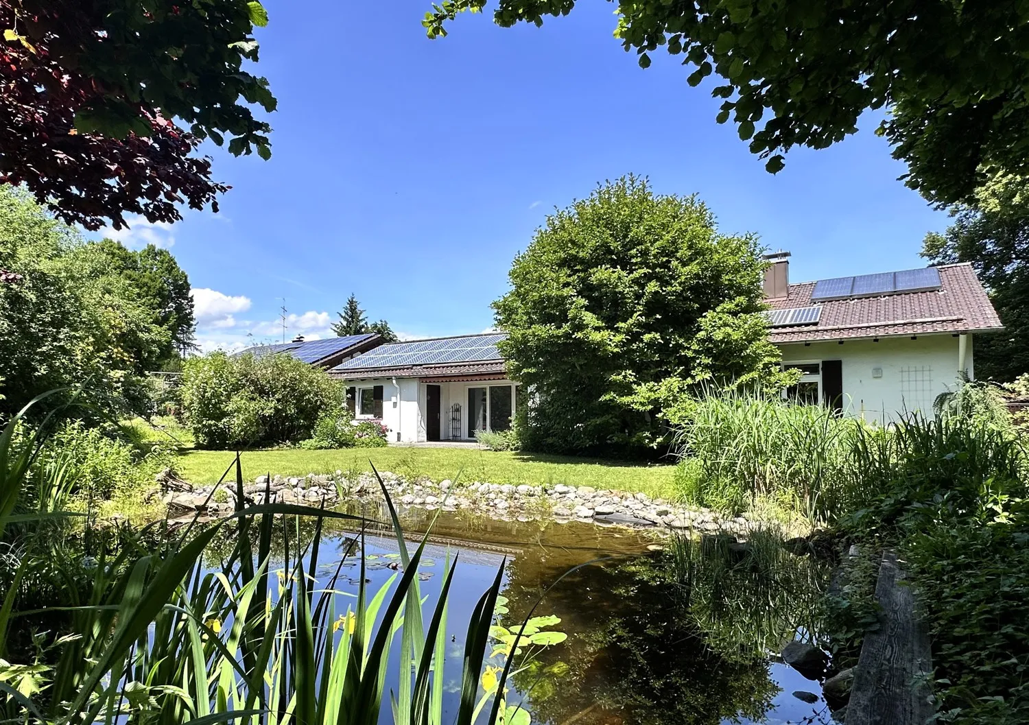 Naturteich und Garten