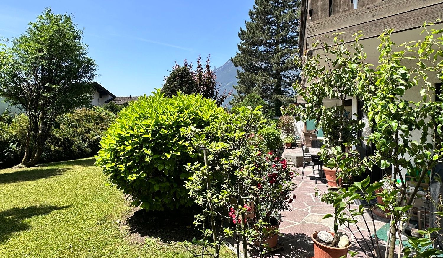 Süd Terrasse