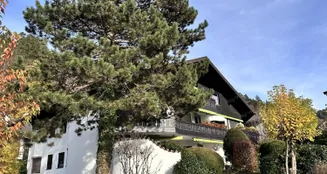 von_poll_real_estate_property_25083011_image_5