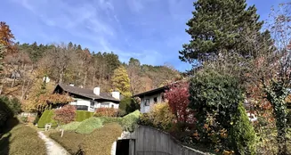 von_poll_real_estate_property_25083011_image_6