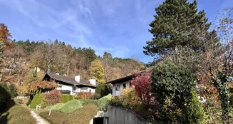 von_poll_real_estate_property_25083011_image_7