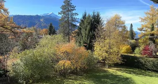 von_poll_real_estate_property_25083013_image_29