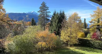 von_poll_real_estate_property_25083013_image_20