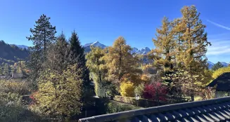 von_poll_real_estate_property_25083013_image_14