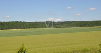 von_poll_real_estate_property_25192030_image_21