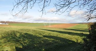 von_poll_real_estate_property_25192032_image_4