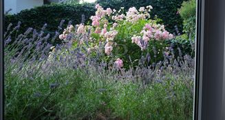 von_poll_real_estate_property_25192035_image_6