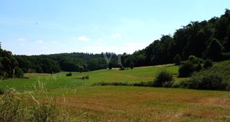 von_poll_real_estate_property_25192035_image_26