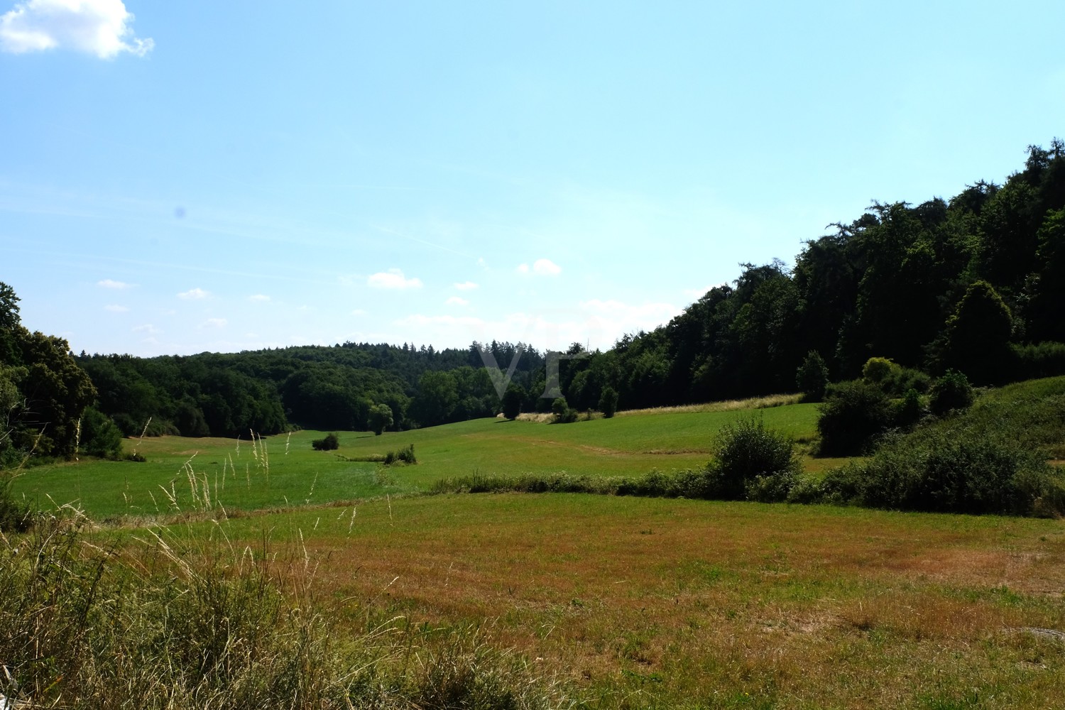 Wiesenlandschaft