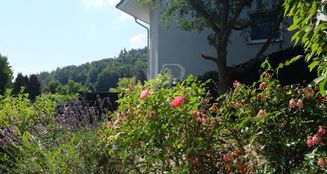 von_poll_real_estate_property_25192035_image_4