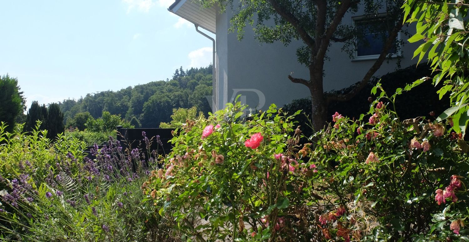 Ausblick Wohnzimmer