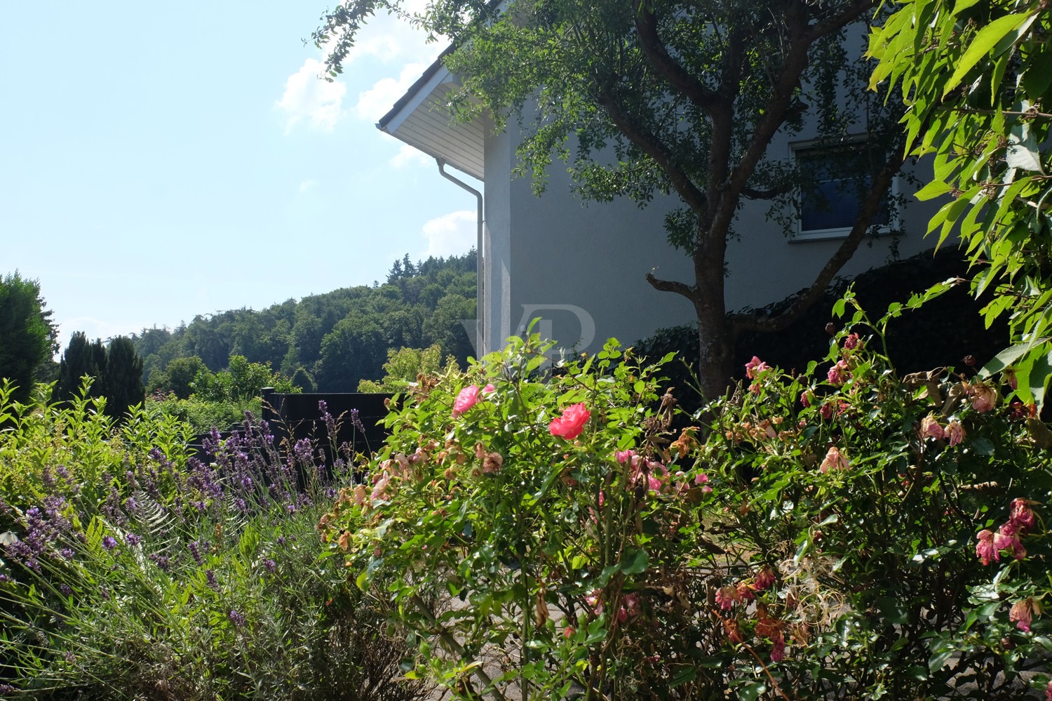 Ausblick Wohnzimmer