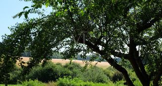 von_poll_real_estate_property_25192035_image_23
