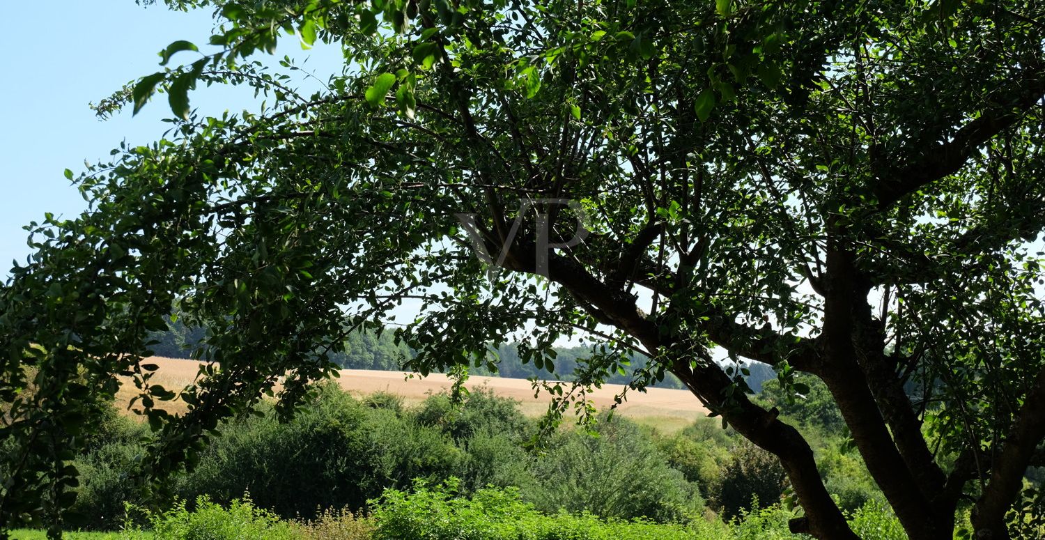 vor der Haustür - malerische Feldlandschaft