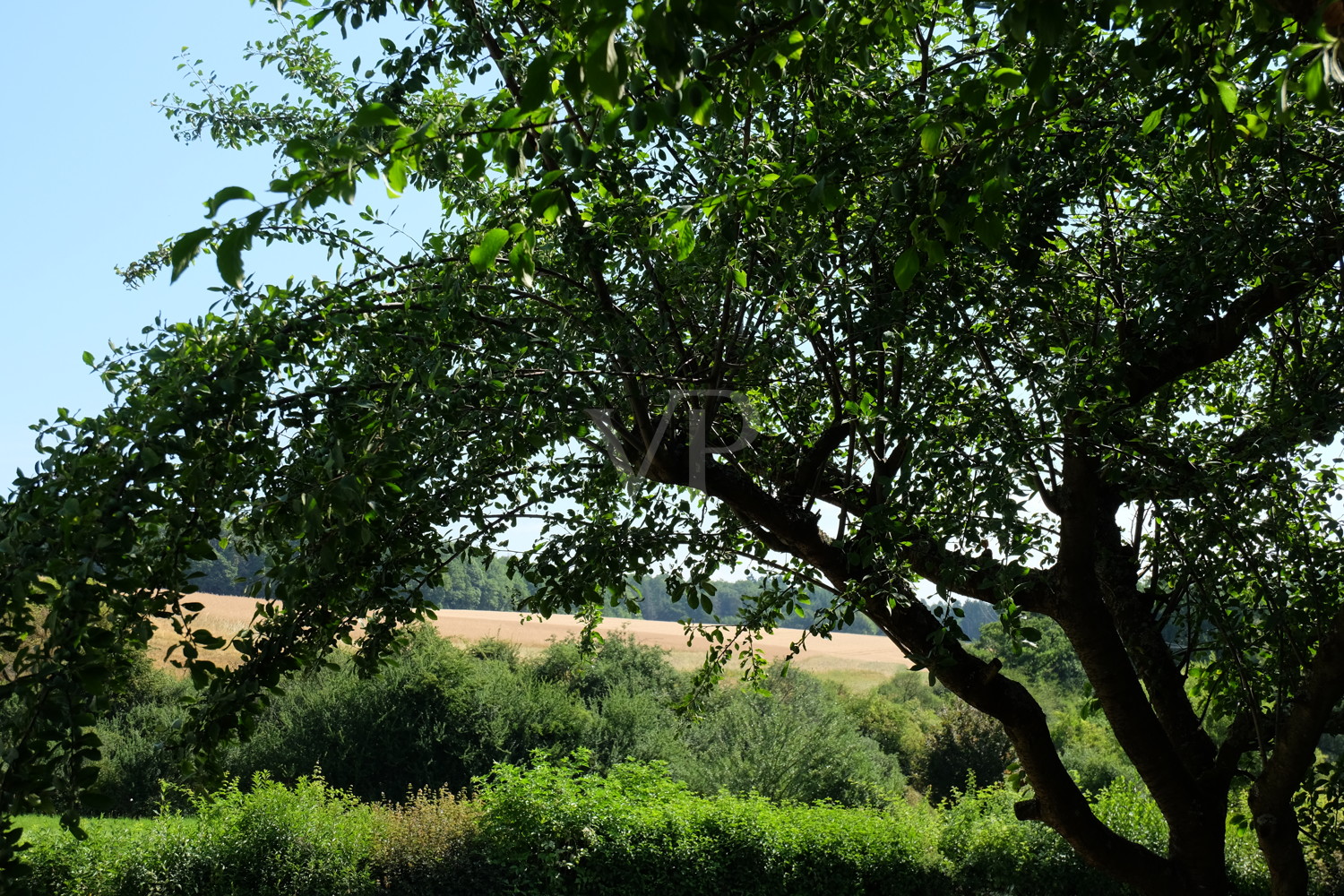 vor der Haustür - malerische Feldlandschaft