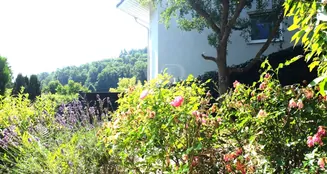 von_poll_real_estate_property_25192035_image_13