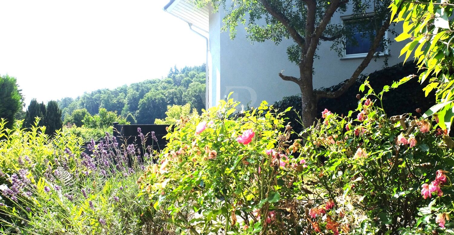 Ausblick Wohnzimmer