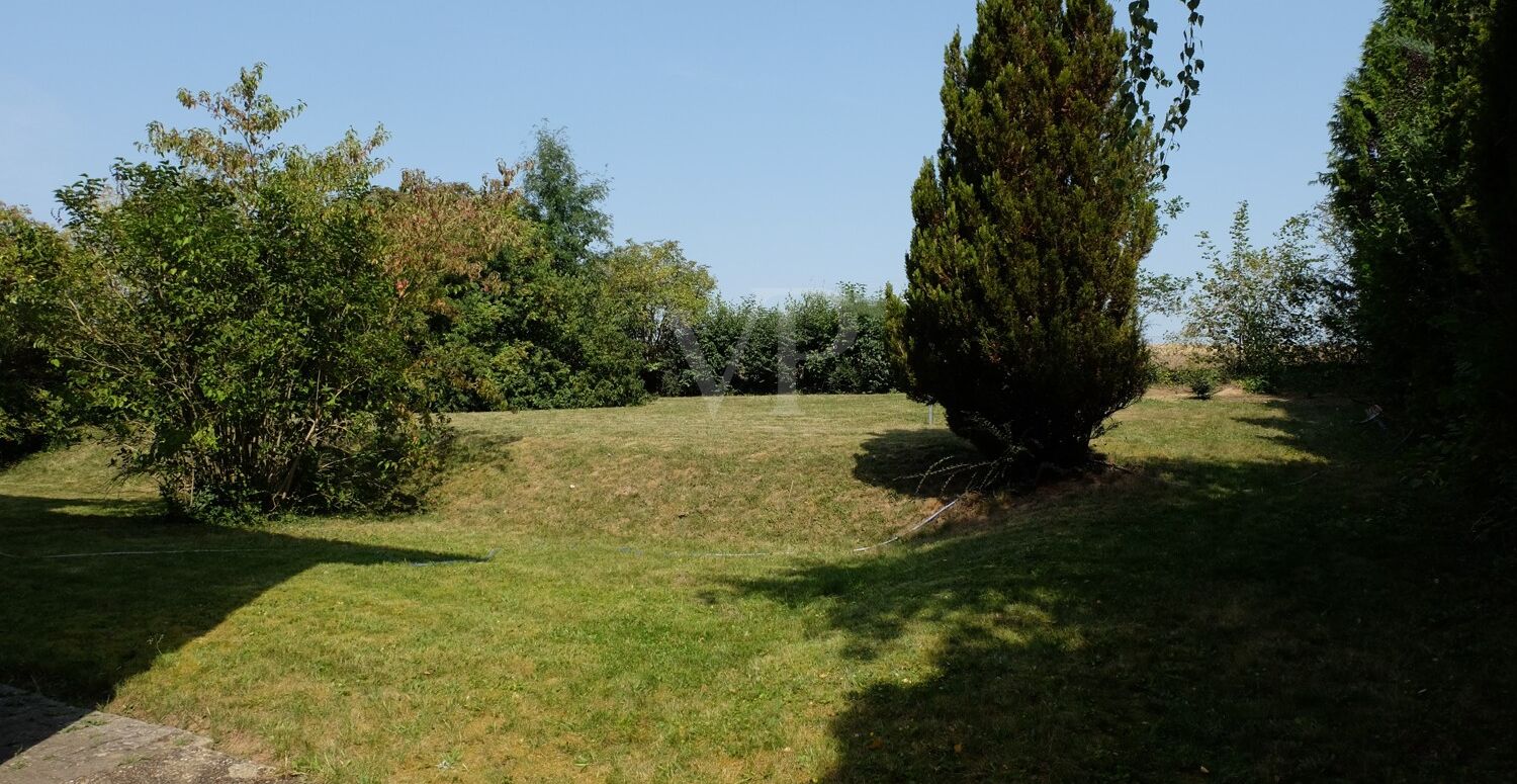großzügiger Garten