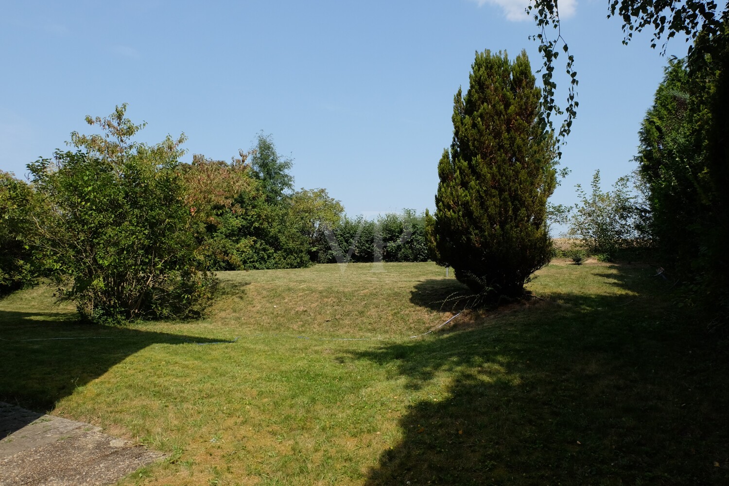 großzügiger Garten