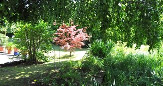 von_poll_real_estate_property_25192038_image_18