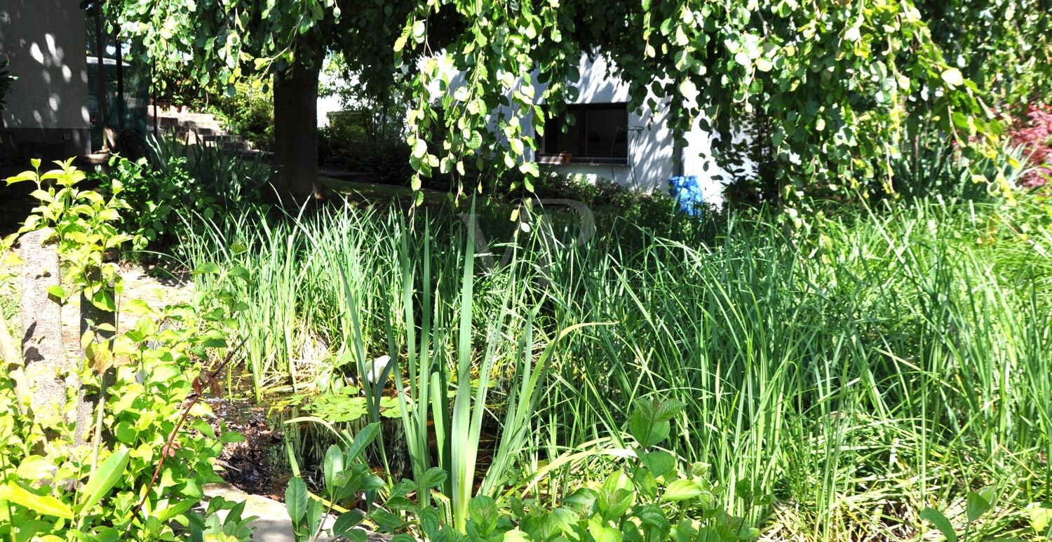 Gartenteich