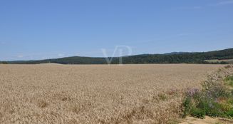 von_poll_real_estate_property_25192038_image_23