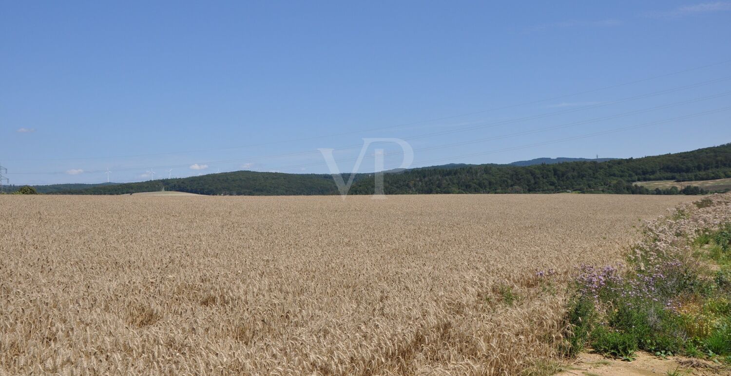 Idyllische Lage am Feldrand