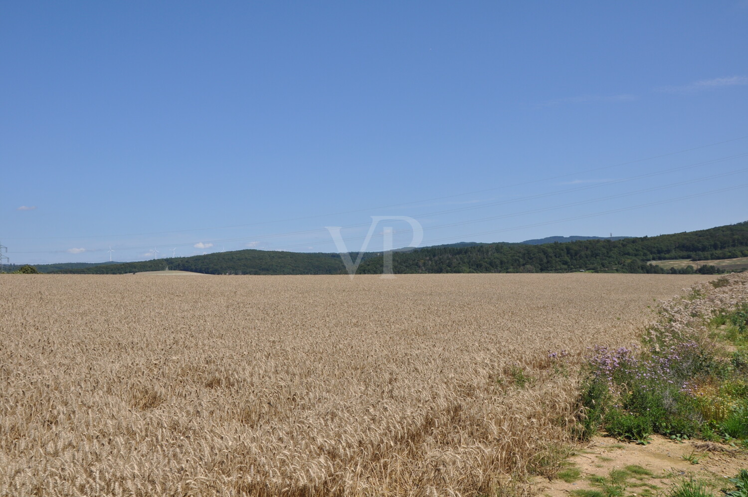 Idyllische Lage am Feldrand