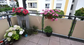 von_poll_real_estate_property_25192041_image_6