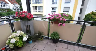 von_poll_real_estate_property_25192041_image_6