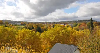 von_poll_real_estate_property_25192047_image_2